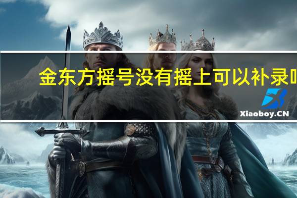 金东方摇号没有摇上可以补录吗