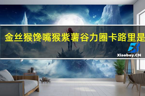 金丝猴馋嘴猴紫薯谷力圈卡路里是多少