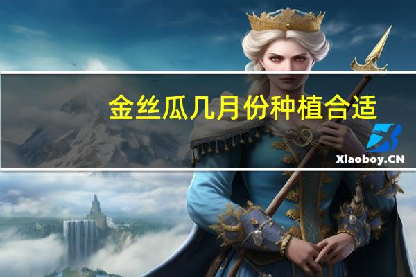 金丝瓜几月份种植合适