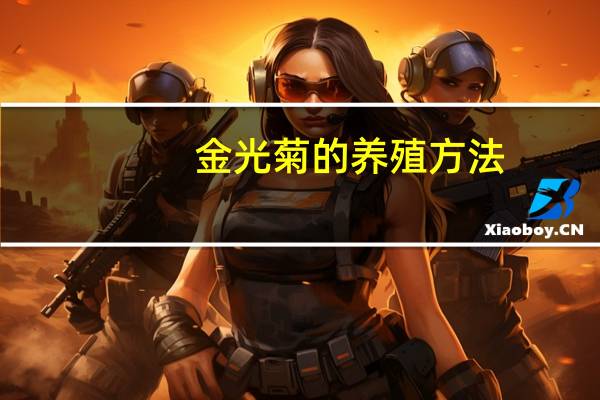 金光菊的养殖方法