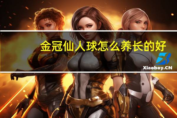 金冠仙人球怎么养长的好