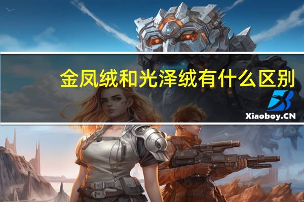 金凤绒和光泽绒有什么区别