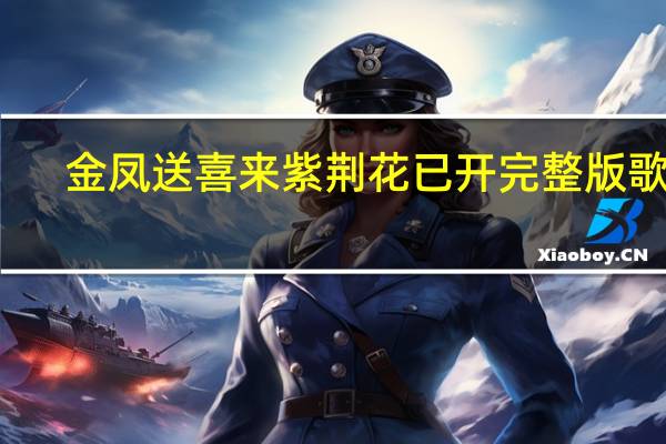 金凤送喜来紫荆花已开完整版歌词