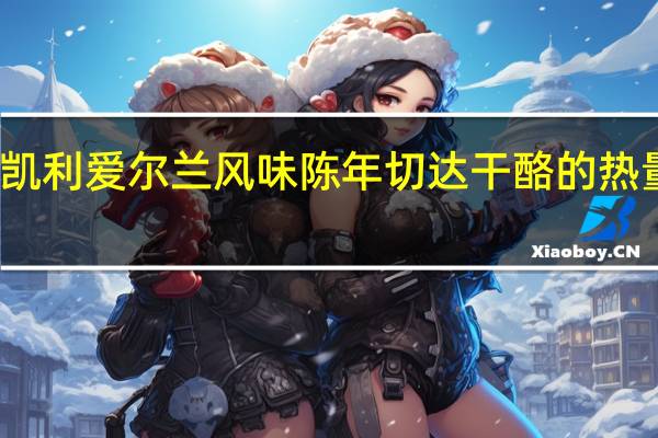 金凯利 爱尔兰风味陈年切达干酪的热量是多少