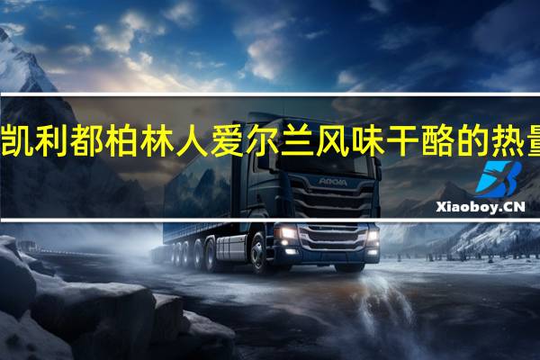 金凯利 都柏林人爱尔兰风味干酪的热量是多少