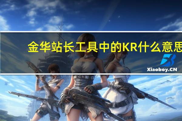 金华站长工具中的KR什么意思