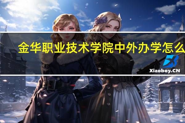 金华职业技术学院中外办学怎么样