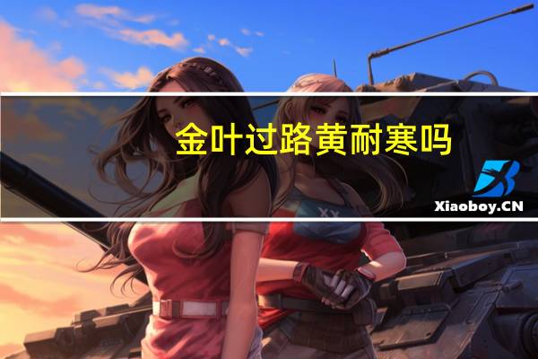 金叶过路黄耐寒吗