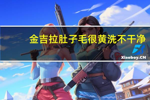 金吉拉肚子毛很黄洗不干净