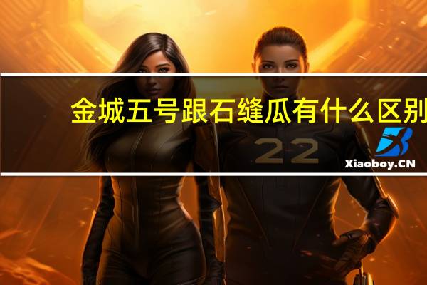 金城五号跟石缝瓜有什么区别