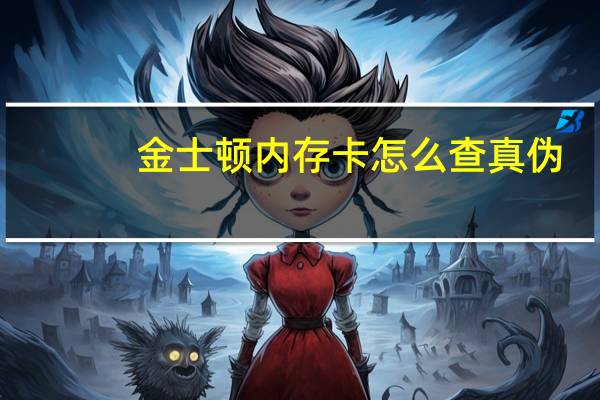 金士顿内存卡怎么查真伪（金士顿内存卡怎么样）