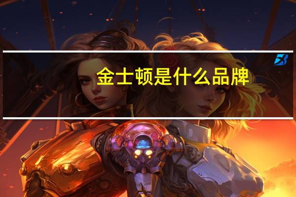 金士顿是什么品牌？