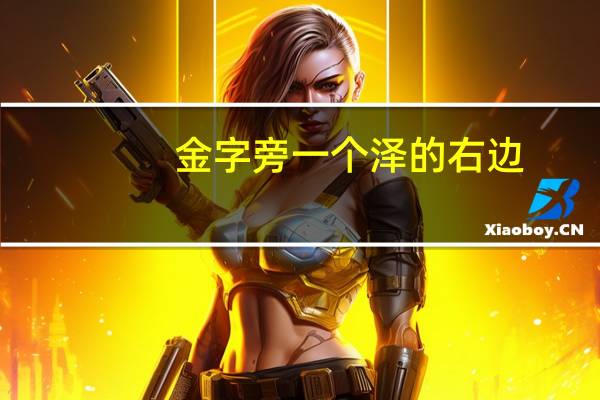 金字旁一个泽的右边（一个金字旁一个泽的右边）