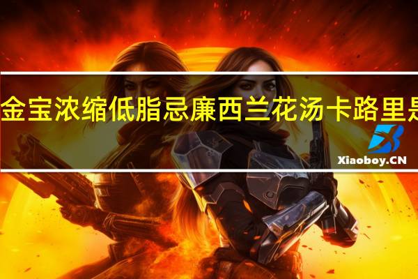 金宝 浓缩低脂忌廉西兰花汤卡路里是多少