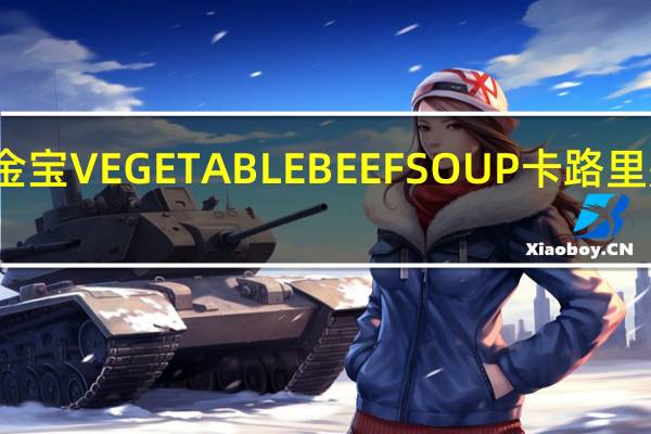 金宝 VEGETABLEBEEFSOUP卡路里是多少