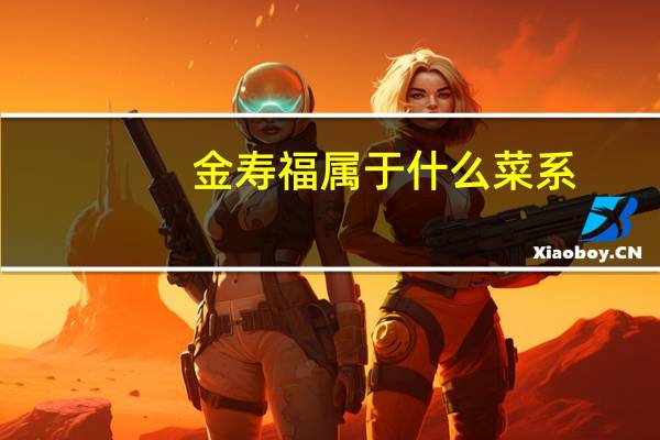 金寿福属于什么菜系