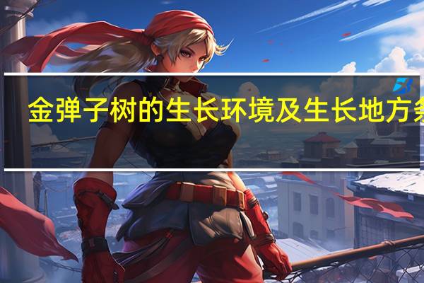 金弹子树的生长环境及生长地方条件