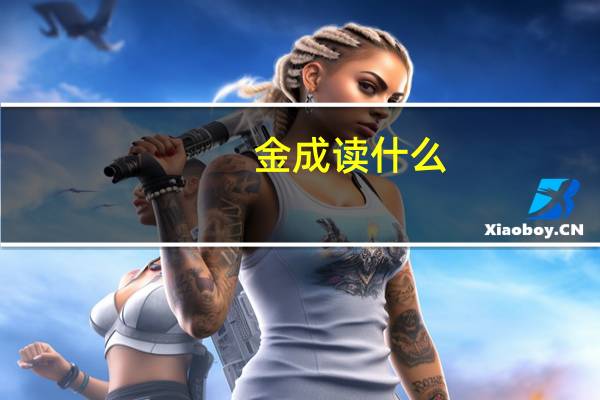金成读什么