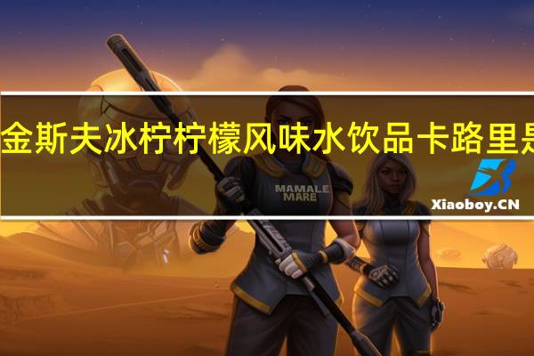 金斯夫 冰柠柠檬风味水饮品卡路里是多少