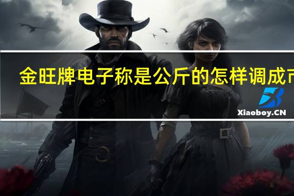金旺牌电子称是公斤的怎样调成市斤