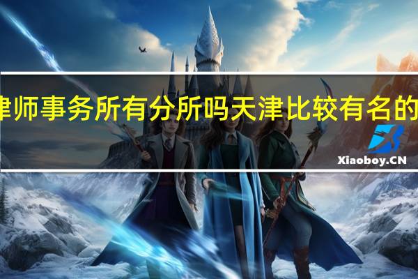 金杜律师事务所有分所吗 天津比较有名的律师事务所