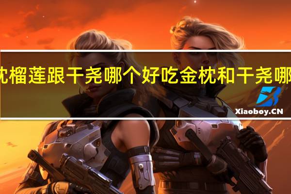 金枕榴莲跟干尧哪个好吃 金枕和干尧哪一个好吃