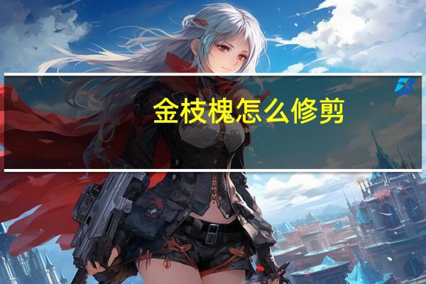 金枝槐怎么修剪