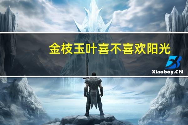 金枝玉叶喜不喜欢阳光