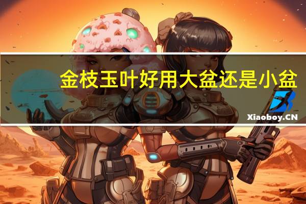 金枝玉叶好用大盆还是小盆