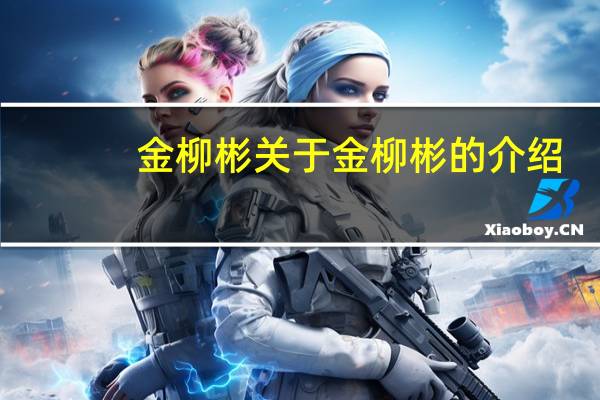 金柳彬 关于金柳彬的介绍