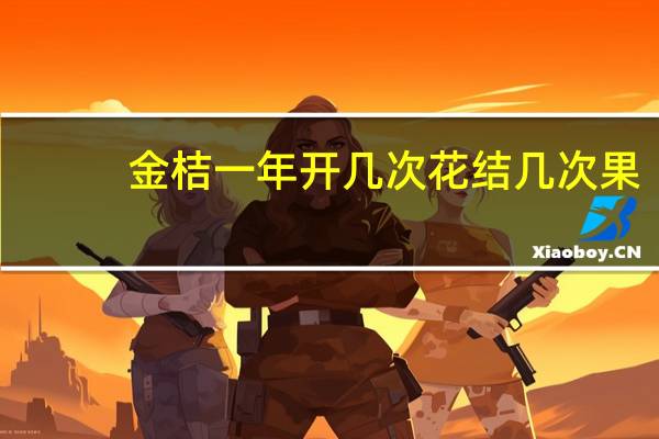 金桔一年开几次花结几次果