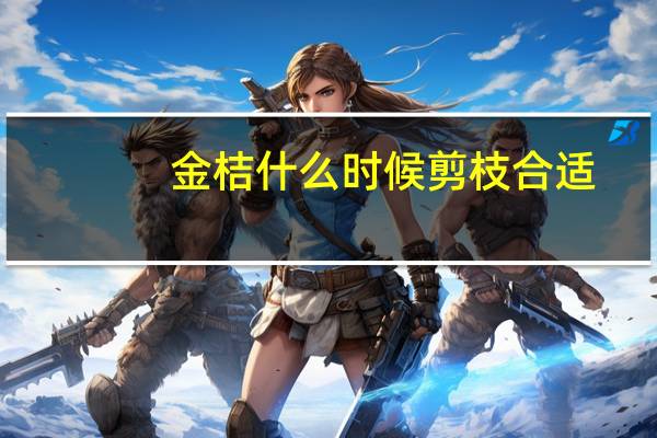 金桔什么时候剪枝合适