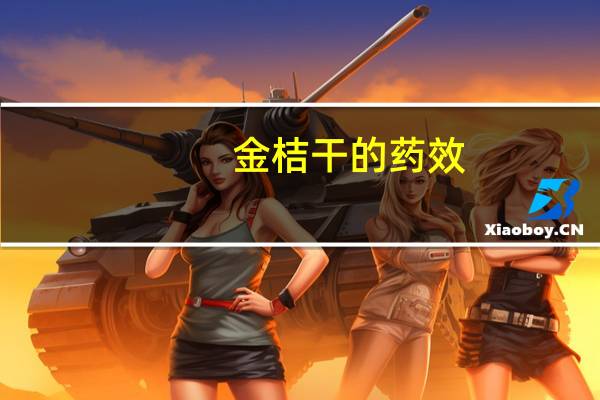 金桔干的药效(金桔干的功效与作用及禁忌)