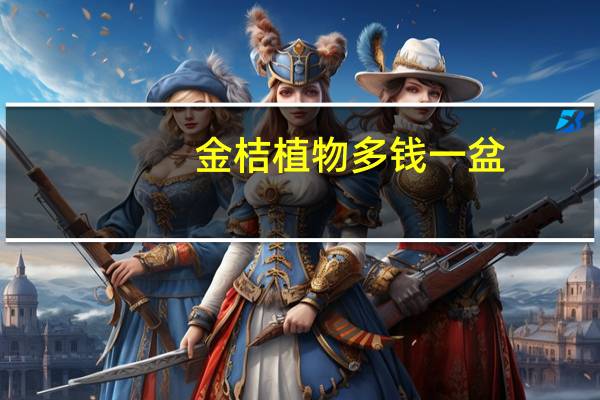 金桔植物多钱一盆