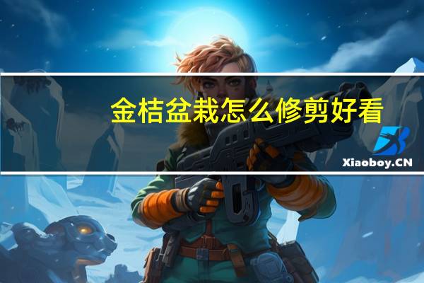 金桔盆栽怎么修剪好看