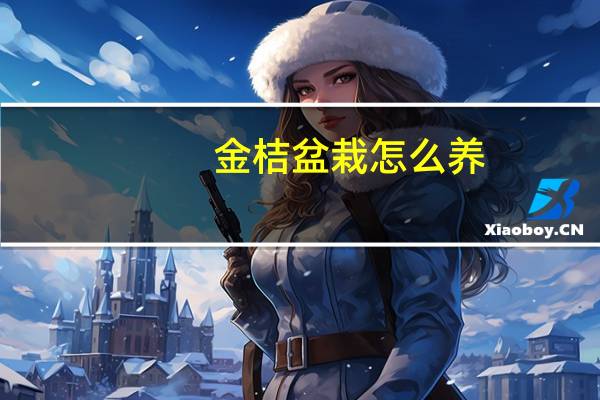 金桔盆栽怎么养