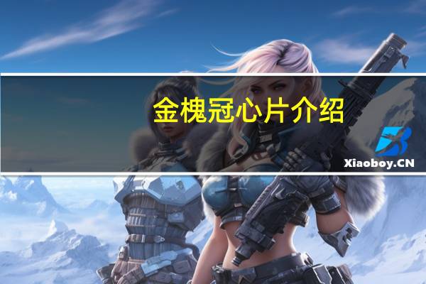 金槐冠心片介绍