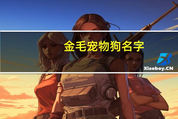 金毛宠物狗名字