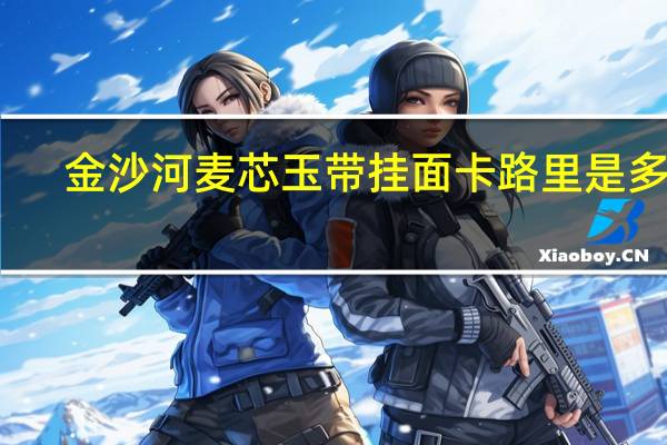 金沙河 麦芯玉带挂面卡路里是多少