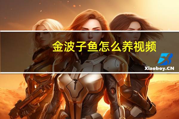 金波子鱼怎么养视频(金波子鱼怎么养)