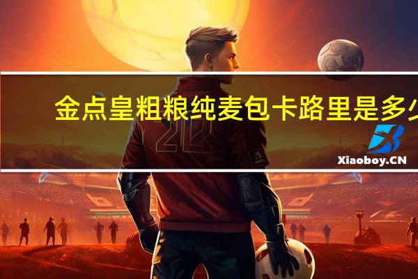 金点皇 粗粮纯麦包卡路里是多少