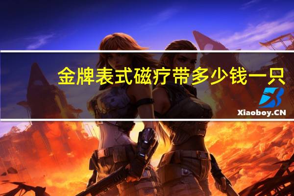 金牌表式磁疗带多少钱一只