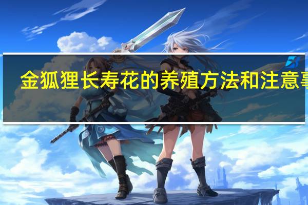 金狐狸长寿花的养殖方法和注意事项