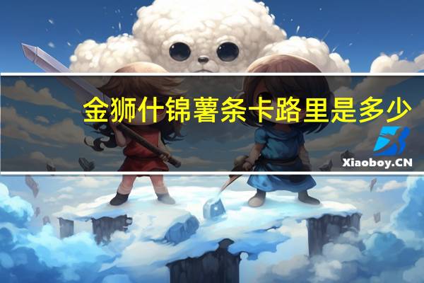 金狮 什锦薯条卡路里是多少