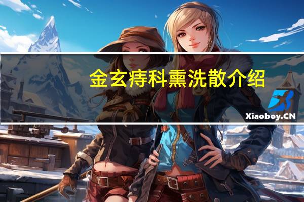 金玄痔科熏洗散介绍
