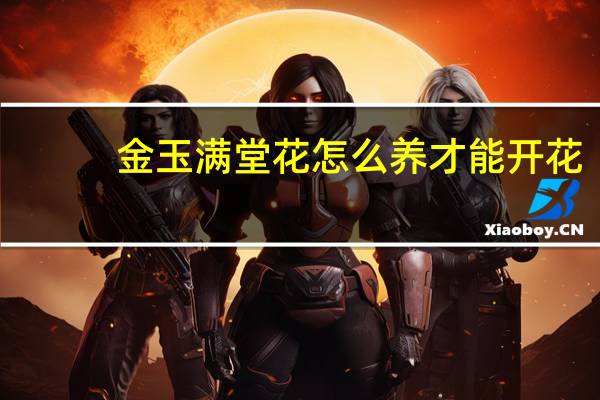 金玉满堂花怎么养才能开花