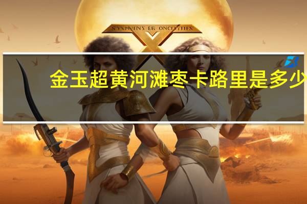 金玉超 黄河滩枣卡路里是多少