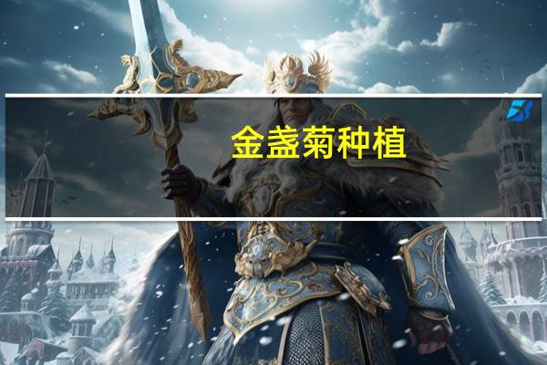 金盏菊种植