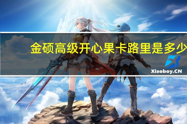 金硕 高级开心果卡路里是多少