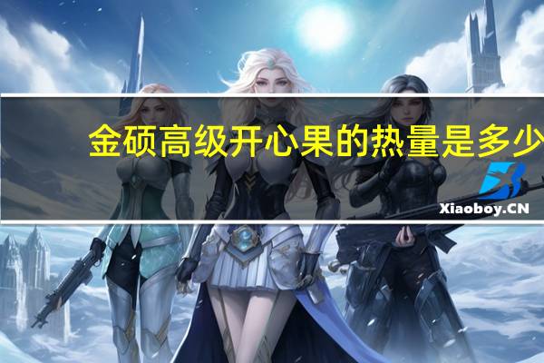 金硕 高级开心果的热量是多少